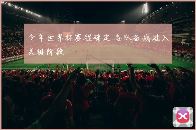 今年世界杯赛程确定 各队备战进入关键阶段