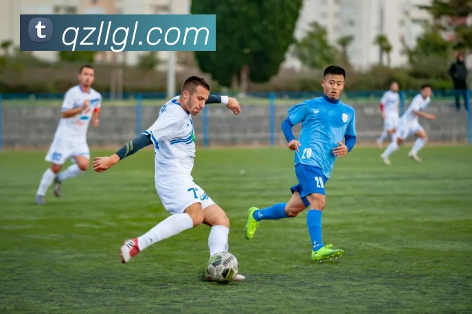 多媒体互动体验